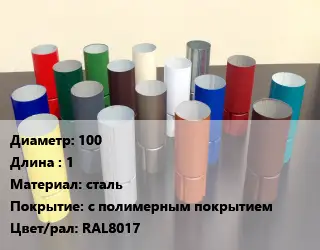 Труба соединительная 100 L=1 сталь с полимерным покрытием RAL8017